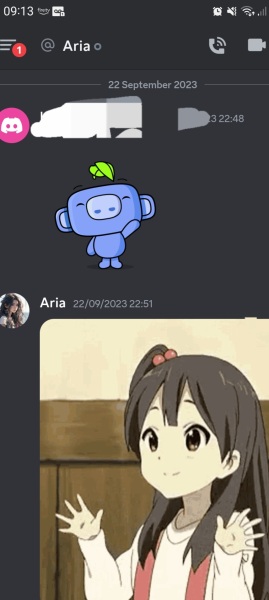 Partner cheating to a,woman on discord