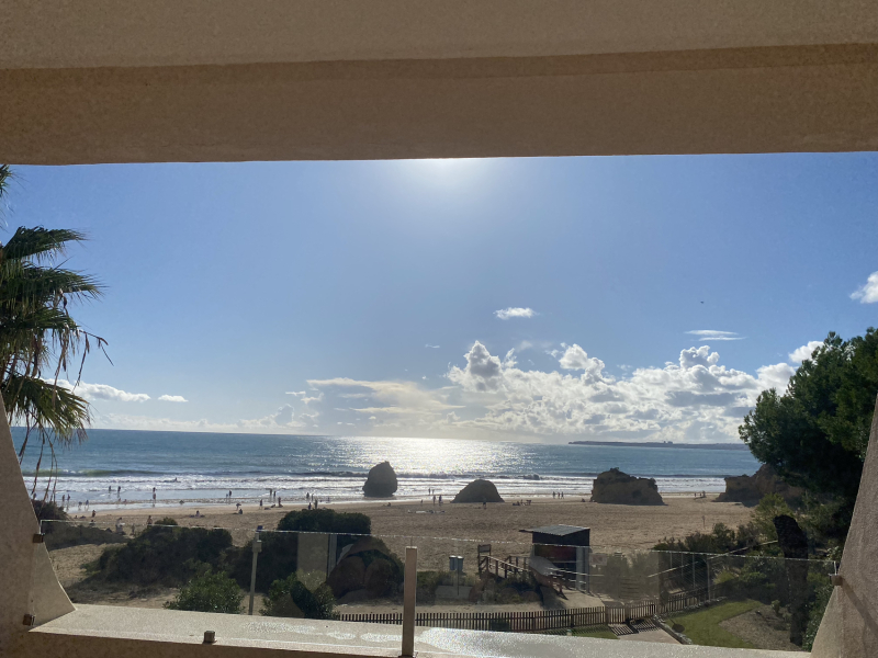 Thread 49 - Covid GCSE Cohort - The nights are drawing in...