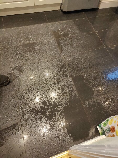 To call in the Ghostbusters re: mysterious pools of water in the kitchen