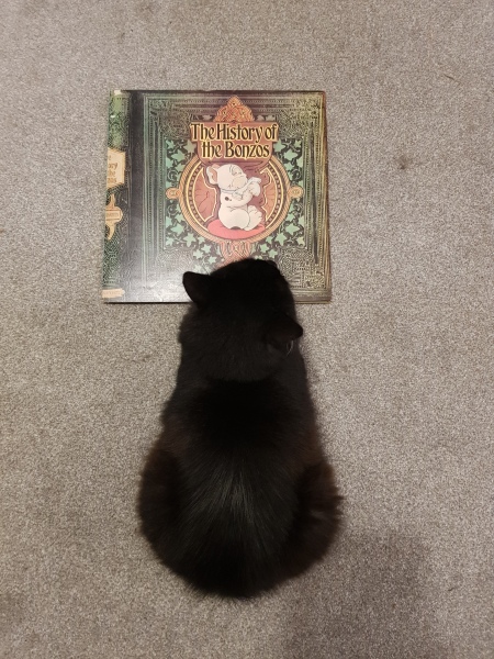 Thug cat part 5 - For he will not do destruction, if he is well-fed, neither will he spit without provocation.