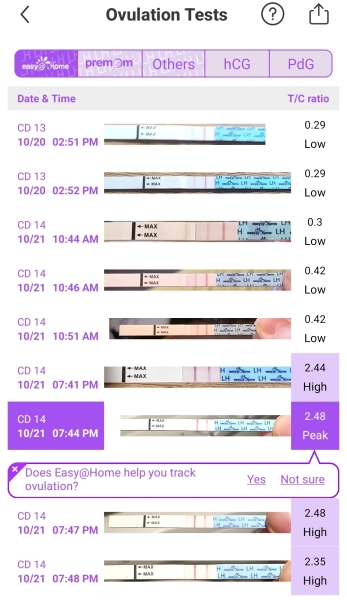 2ww second month ttc