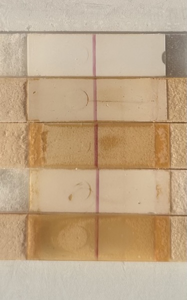 Boots 5 days early tests.. evaps/indents?