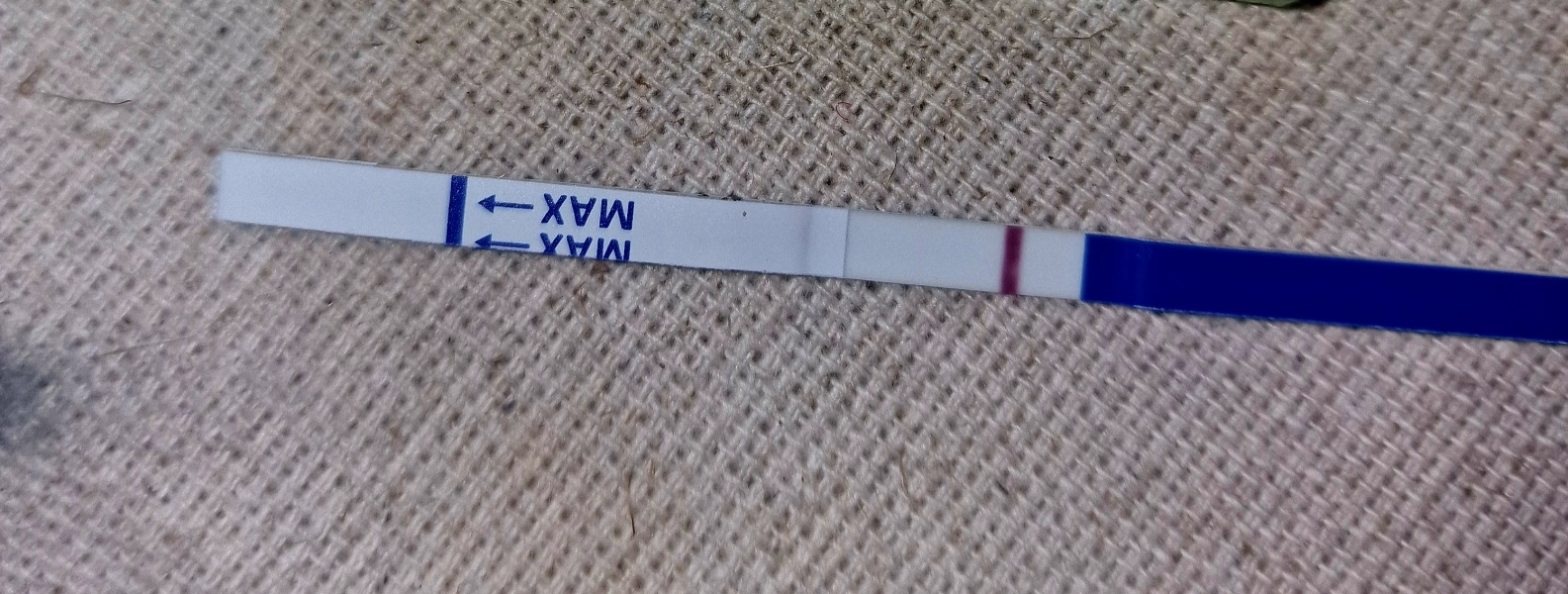 10dpo Is this the start of something?