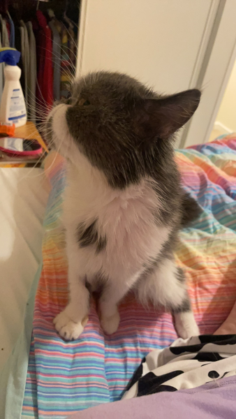 Potential new inmate at Toddler Towers.