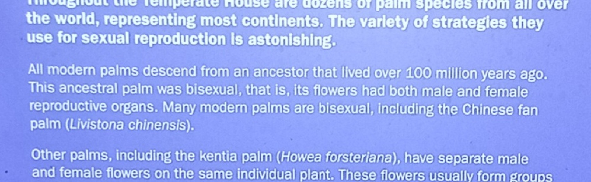 Kew Gardens, yes, *Kew Gardens*, says plants have "gender" not "sex"