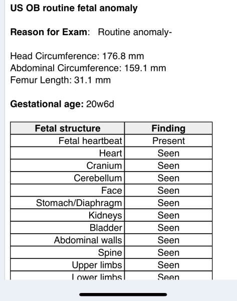 Feb 2024 thread 4