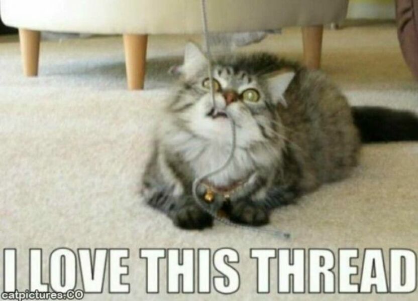 post your unpopular literature opinions?