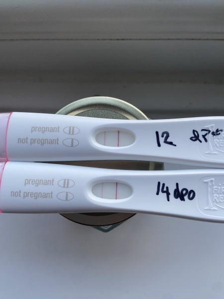 Lines the same as 12dpo at 14dpo