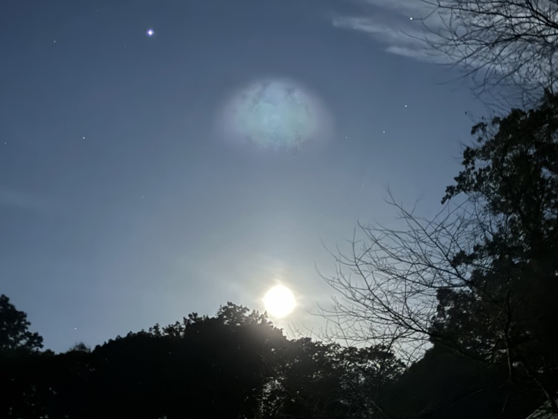 Come and tell me your dull and unexciting news 27: Calmly through the day