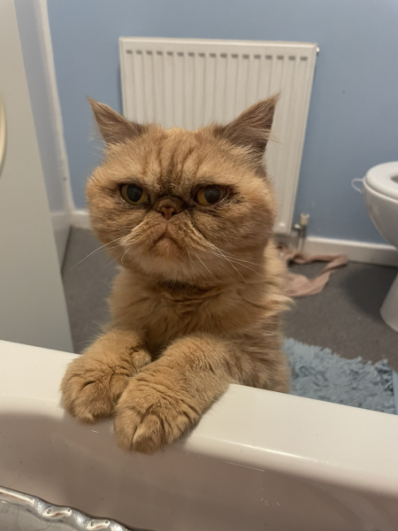 Potential new inmate at Toddler Towers.