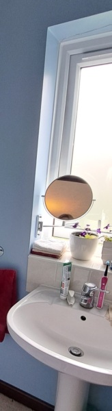 Bathrooms - fitted furniture or not?