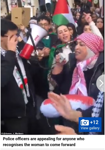 The people that don't call those that support Hamas