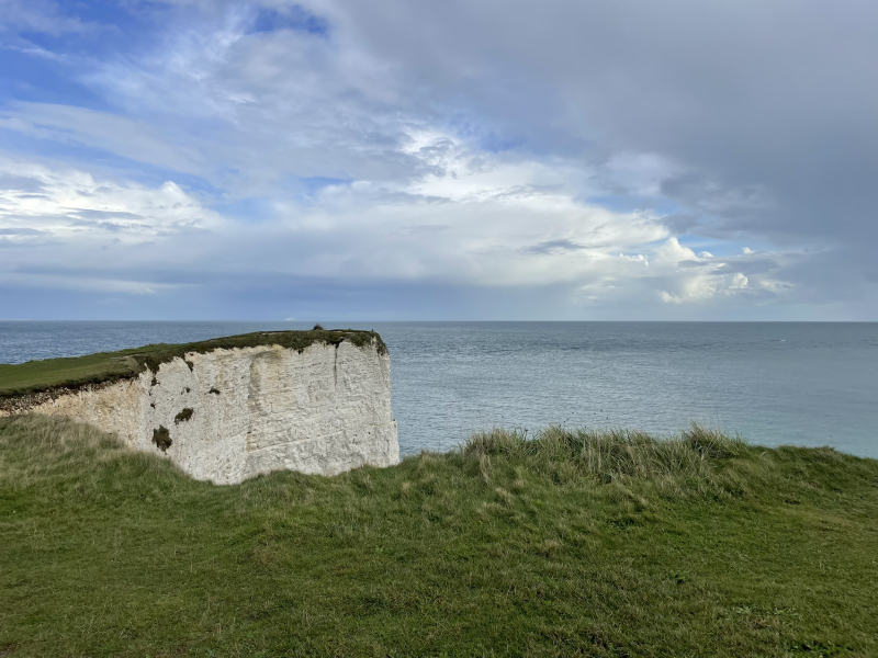 The Great Recovery! After cancer what next?