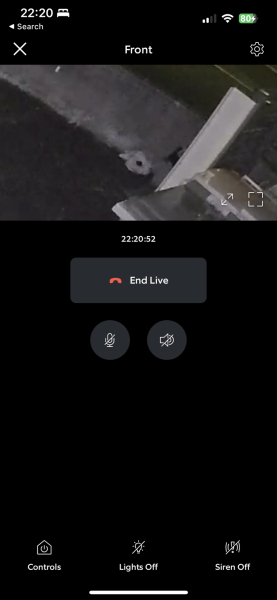 Dead cat on work cctv