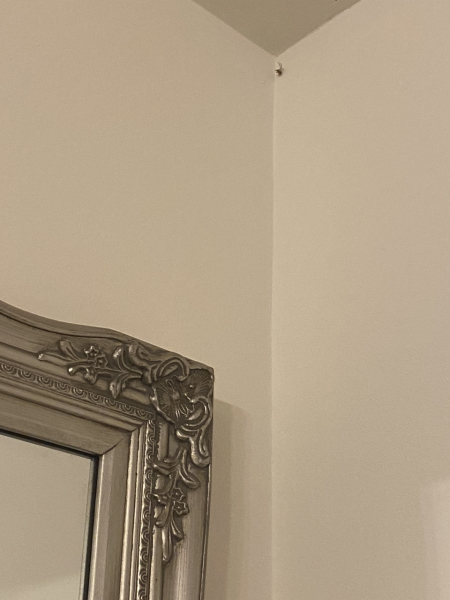 To not know what to do with syd the spider