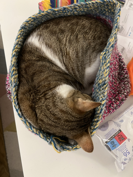 It's crochet,  knit and natter thread 11. So much yarn we need a yarn barn.