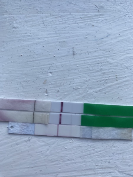Are these positive????