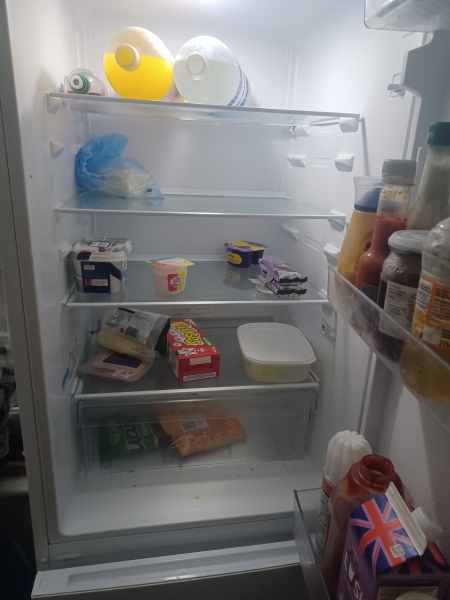 Just for fun- what's in your fridge? Post a pic!