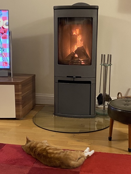 Fireplaces and logburners - have you got yours lighted yet?