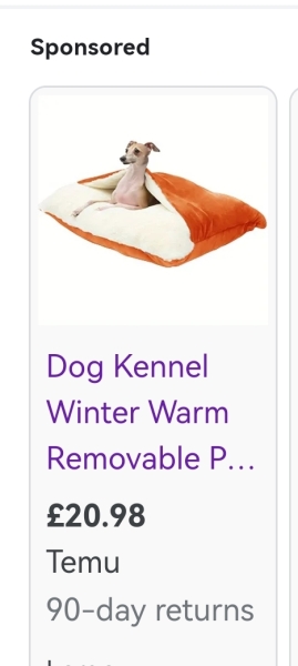 Anyone seen a dog bed like this please?