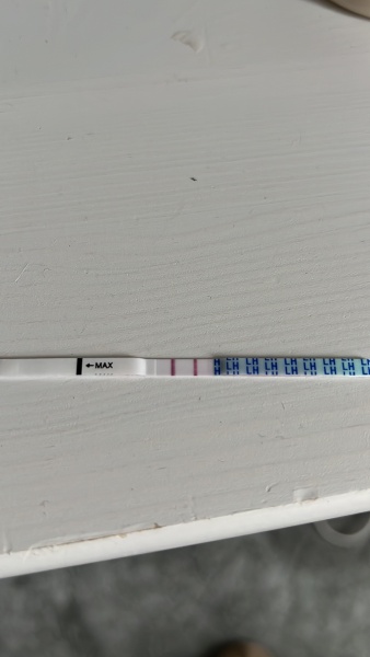 A line eye enthusiast #2