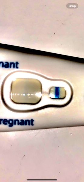 AM I PREGNANT?