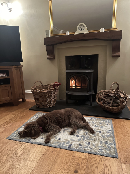 Fireplaces and logburners - have you got yours lighted yet?