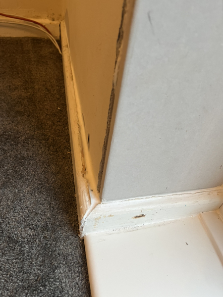 Is this how French doors should be finished?