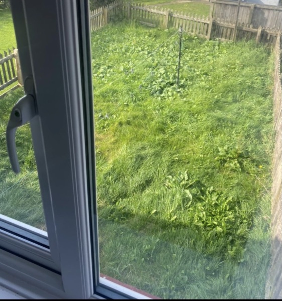 Turning house down due to garden?
