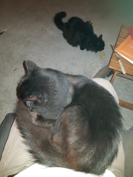 How to tell it’s getting cold…