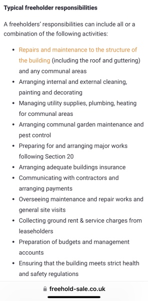 Leaseholder/freeholder - roof repair