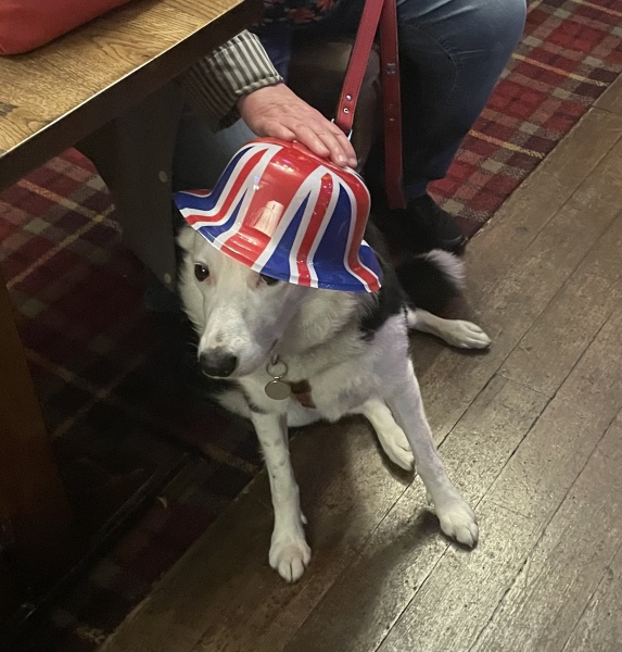 I’ve been asked my dog’s gender for a course we’re going on