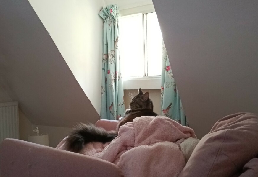 Come and tell me your dull and unexciting news 27: Calmly through the day