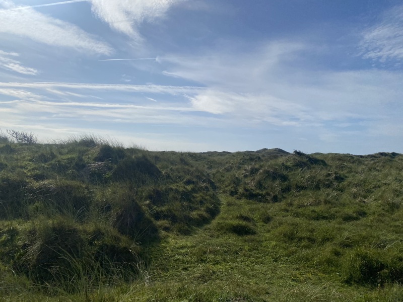 Come and tell me your dull and unexciting news 26: Calmly through the day 