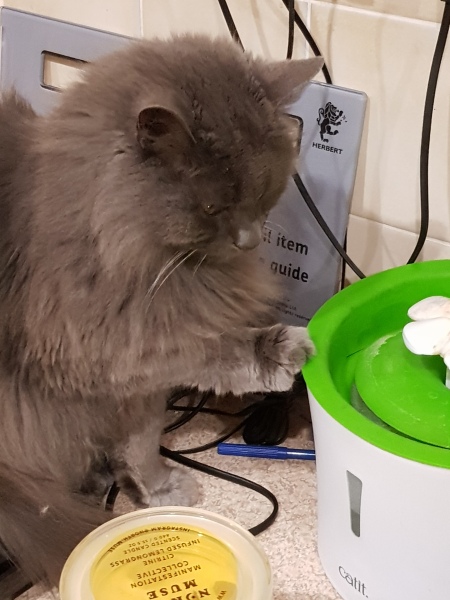 Water fountains