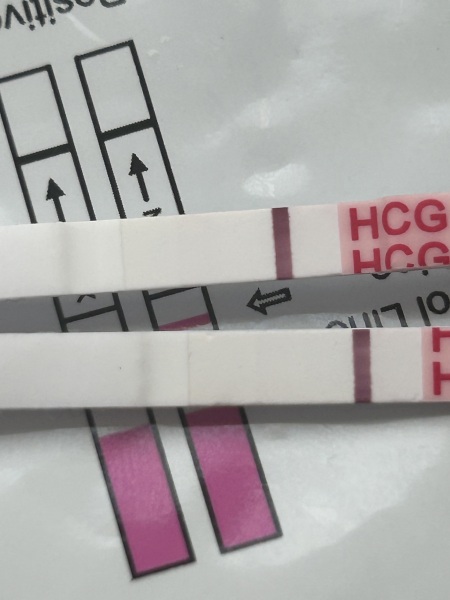 Wondfo- do they give false BFPs or smudges?