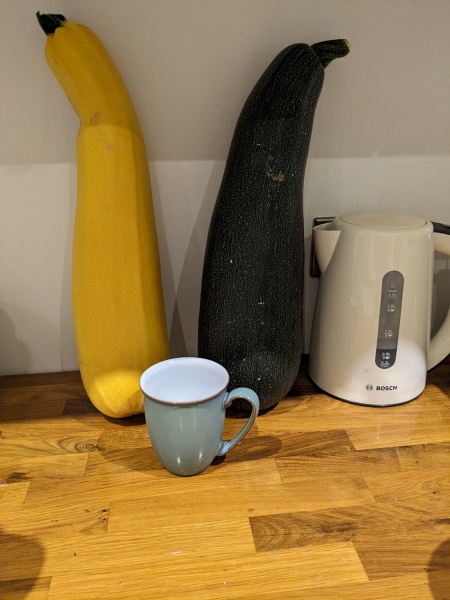 What to do with two enormous courgettes?