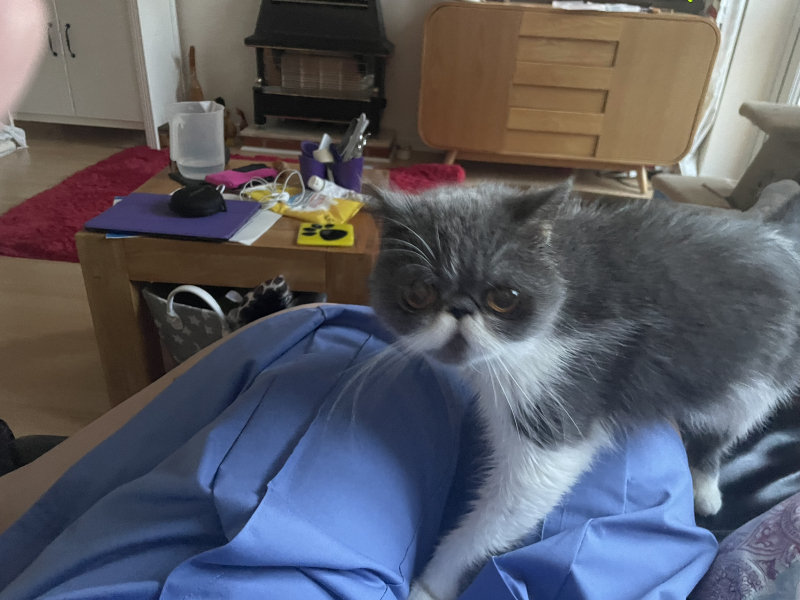 Potential new inmate at Toddler Towers.