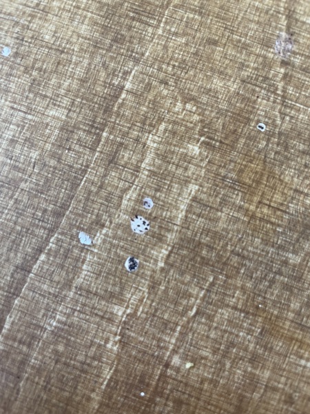 What is this…?