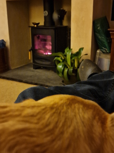 Fireplaces and logburners - have you got yours lighted yet?