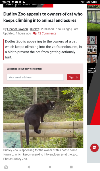 Further Adventures of the Excellent Cats