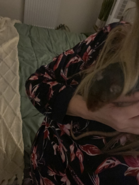 I'm a rat AMA