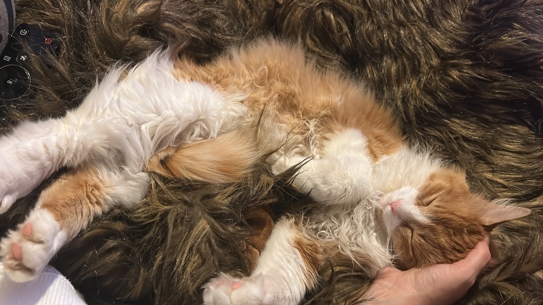 How to tell it’s getting cold…