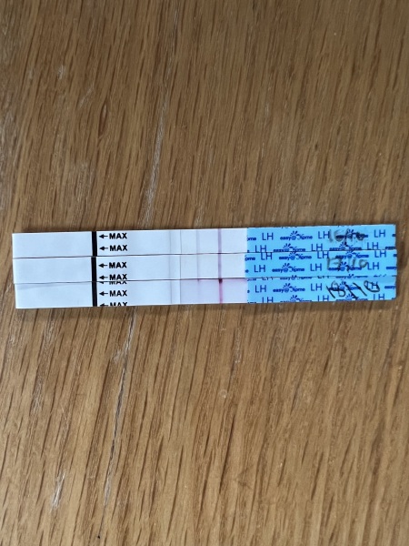 We’re ‘old schooling’ it up! Ovulation test sticks…