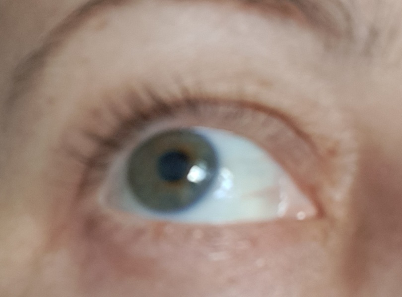 What colour is this eye?