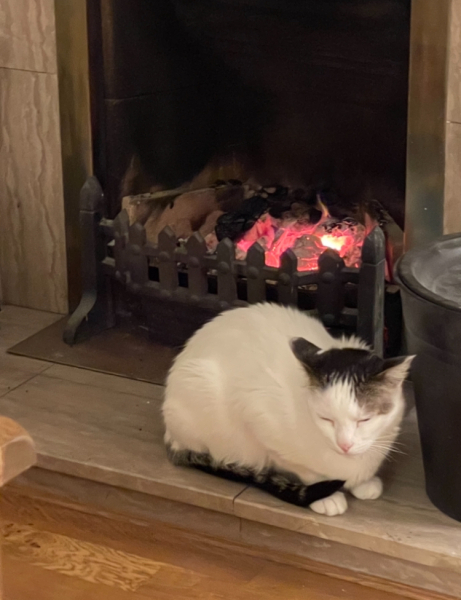 Fireplaces and logburners - have you got yours lighted yet?