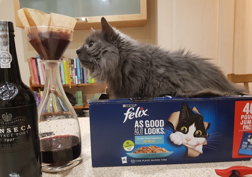 Further Adventures of the Excellent Cats