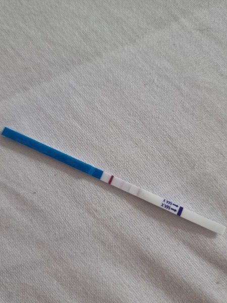First vue pregnancy test poundland