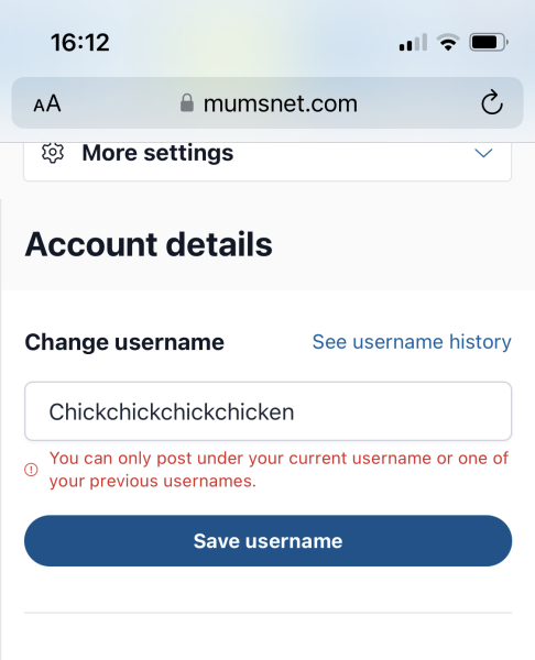 No longer able to change my username?
