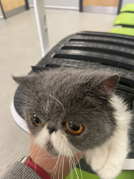 Potential new inmate at Toddler Towers.